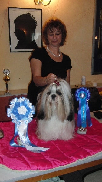 CH. Zen-pa von Lao Tingri - Exc. 1èr, CAC-VDH jeune, CAC Club jeune