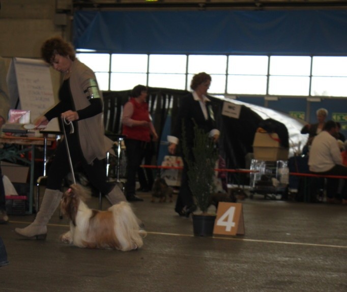 CH. colorio Zsazsa gabor - Exc. 2ème Reserve CAC