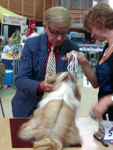 CH. Anjou du Golden Palace - Très bon 1ère