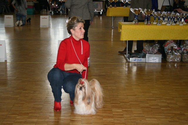 CH. Anjou du Golden Palace - Excellent 2ème, Reserve CAC