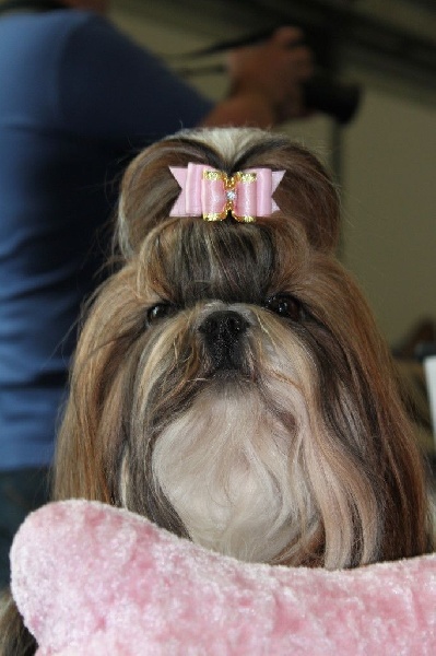 Venus von Lao Tingri - Exc. 2ème R-CAC-VDH, R-CAC-VK