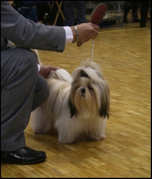 solaro Hero - TB 2ème