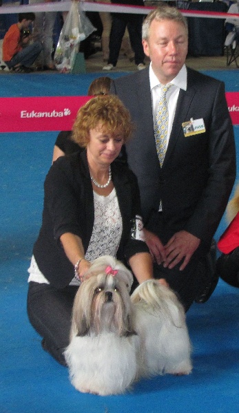 CH. Zhen-lin von Lao Tingri - Excellent 1ère, CAC,CACIB, BOS meilleure femelle