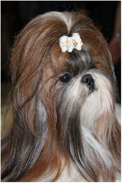 Venus von Lao Tingri - Excellent