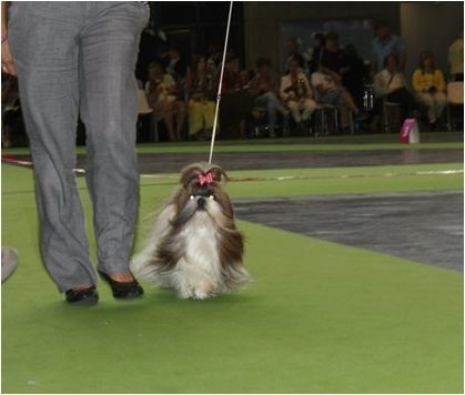 Venus von Lao Tingri - TB