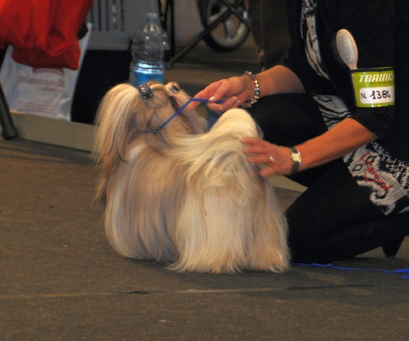 CH. Zen-pa von Lao Tingri - Excellent 1ère, CAC, CACIB