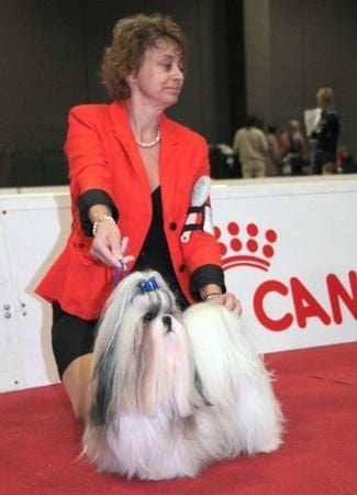 CH. Zen-pa von Lao Tingri - Exc. 1èr, CAC, CACIB et meilleur de race BOB