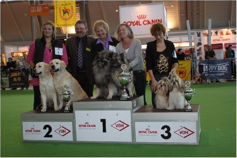 CH. Zen-pa von Lao Tingri - Zen-pa et Zhen-Lin