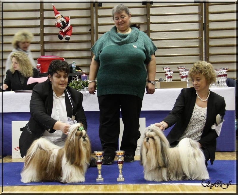 CH. Zen-pa von Lao Tingri - Exc 2èm, R-CAC