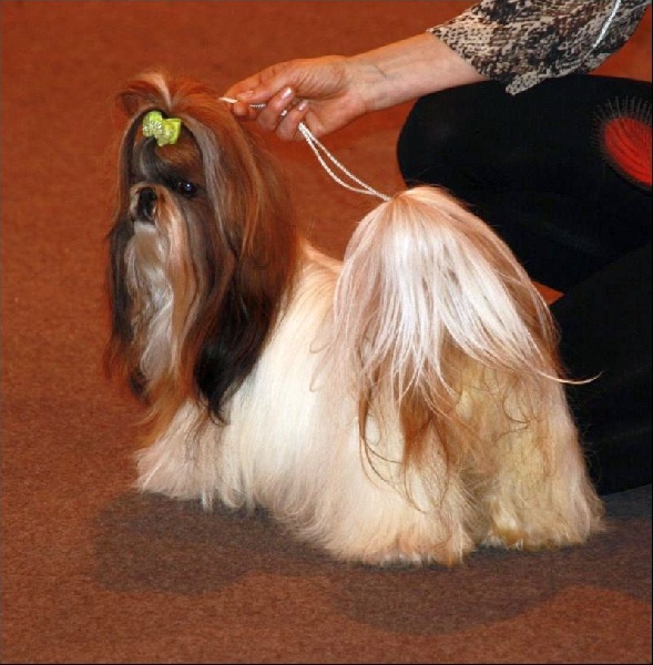 Venus von Lao Tingri - Excellent 1ère