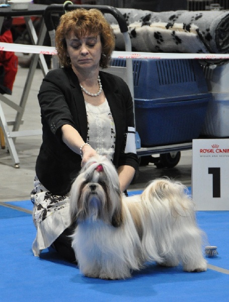 CH. Zhen-lin von Lao Tingri - TB 2ème