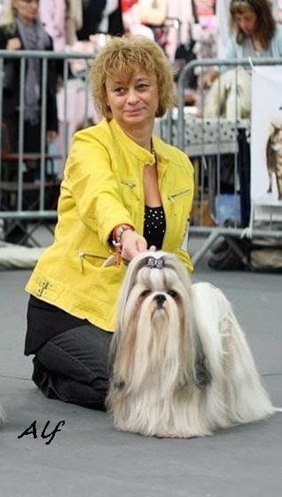 CH. Zen-pa von Lao Tingri - Exct 2em, R-CAC, R-CACIB