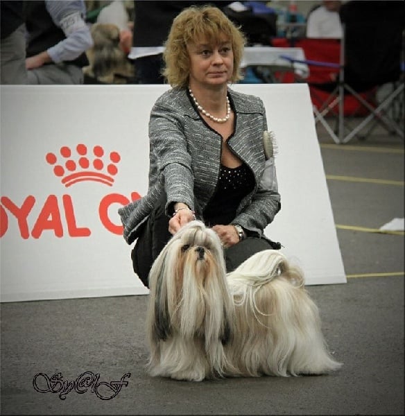 CH. Zen-pa von Lao Tingri - Excellent 2èm R-CAC