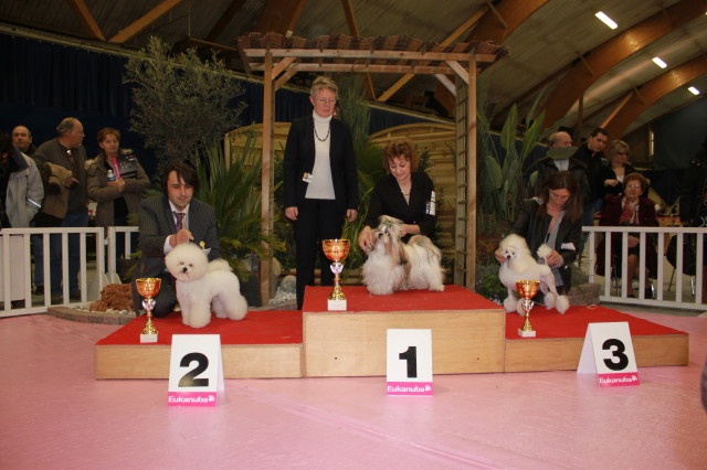 CH. Zhen-lin von Lao Tingri - Exc. 1èr, meilleure jeune, meilleure jeune du group 9