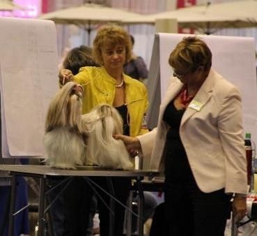 CH. Zhen-lin von Lao Tingri - Exc 3ème