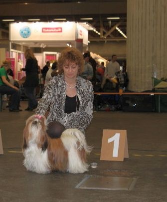 CH. colorio Zsazsa gabor - Excellent 1ère, CAC, Reserve-CACIB