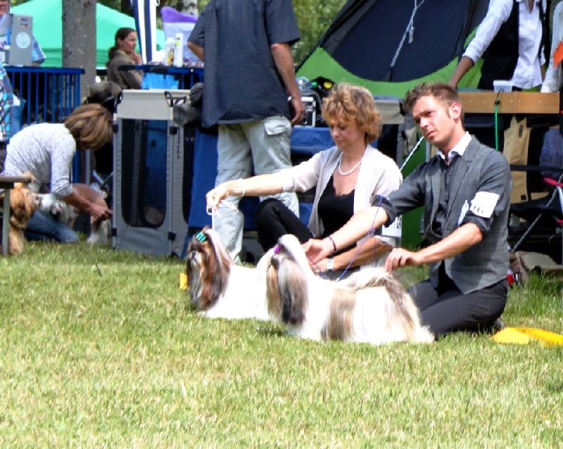 Venus von Lao Tingri - Excellent 2ème, R-CAC