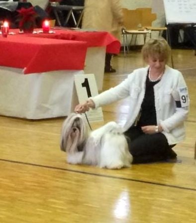 CH. Zen-pa von Lao Tingri - Excellent 3èm