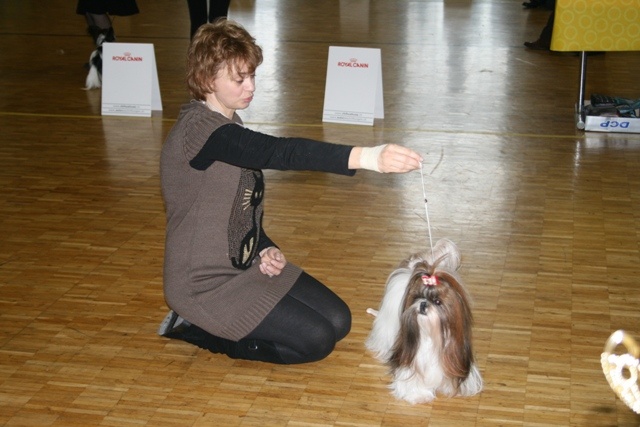 Venus von Lao Tingri - TB 2ème