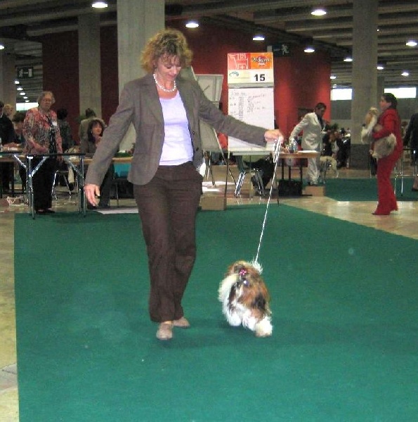 Venus von Lao Tingri - Très Bon 2ème