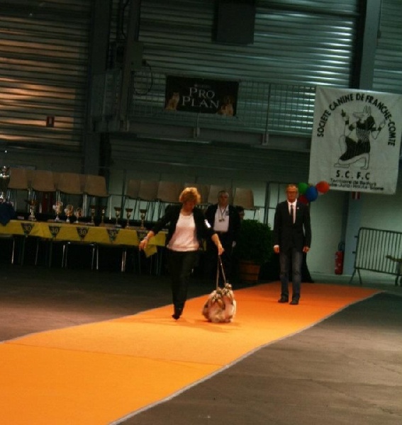 CH. Zhen-lin von Lao Tingri - Zen-pa et Zhen-Lin