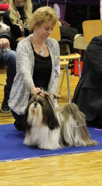 CH. Ang-ki von Lao Tingri - Exc. 1èr CAC