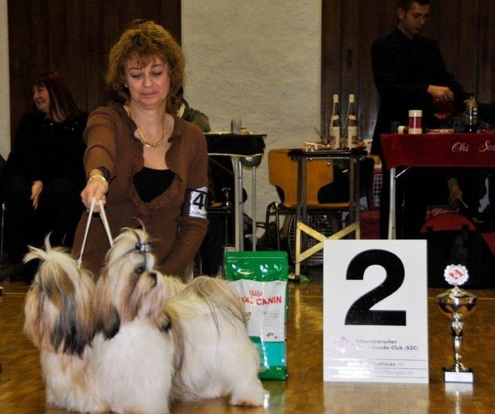 CH. Zen-pa von Lao Tingri - 2ème en classe couple!!!!