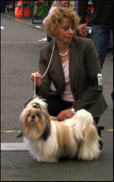 solaro Hero - Très Bon 4 ème