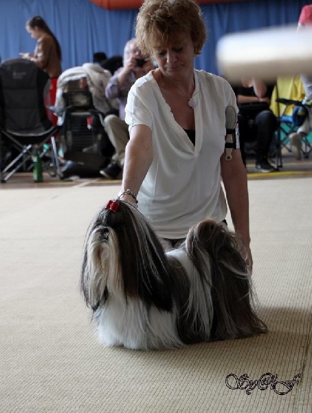 CH. Ang-ki von Lao Tingri - Exc 1, CAC