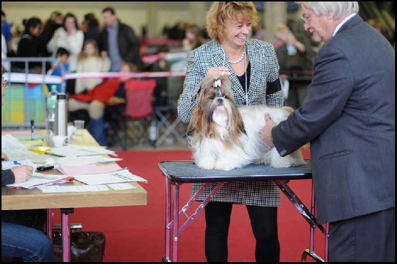 Venus von Lao Tingri - Excellent 1ère CAC-J, qualification CRUFT's