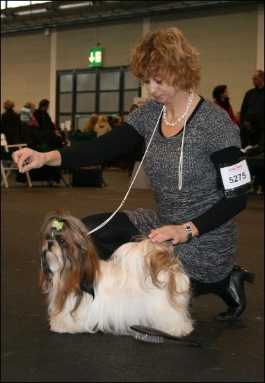 Venus von Lao Tingri - Excellent 1ère CAC-J, Jugendsieger Friedrichshafen