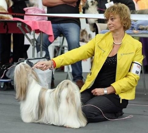 CH. Zhen-lin von Lao Tingri - Exc 2èm, R-CAC