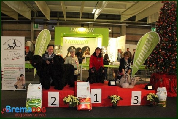 CH. Zen-pa von Lao Tingri - Zen-pa et Zhen-Lin: 3èm des meilleurs couples