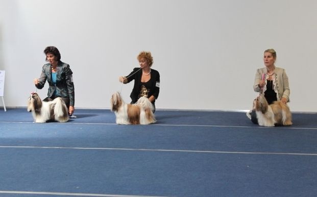 CH. colorio Zsazsa gabor - Excellent 3ème