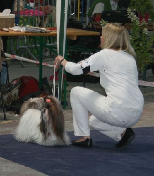 Venus von Lao Tingri - Excellent 1ère, R-CAC