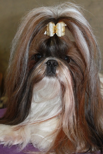 Venus von Lao Tingri - Excellent 3ème