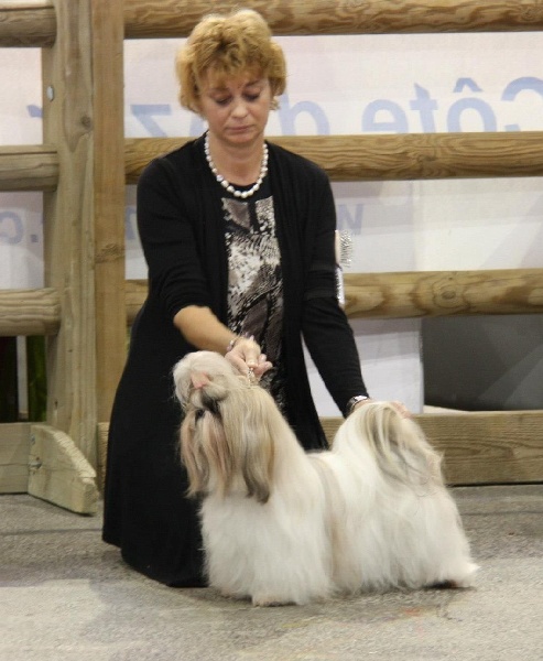 CH. Zhen-lin von Lao Tingri - Excellent 2ème, Reserve CAC