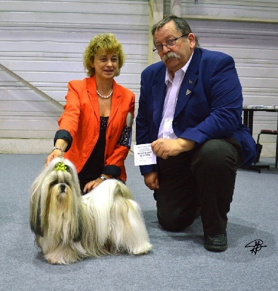 CH. Zen-pa von Lao Tingri - Exc. 1èr, CAC et meilleur de race BOB