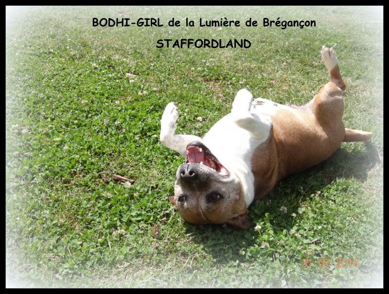 Bodhi-girl de la Lumière de Bregançon