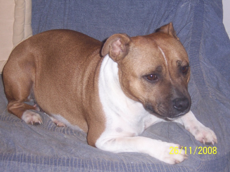 Bodhi-girl de la Lumière de Bregançon