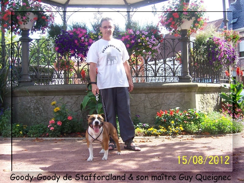Staffordland Goody-goody