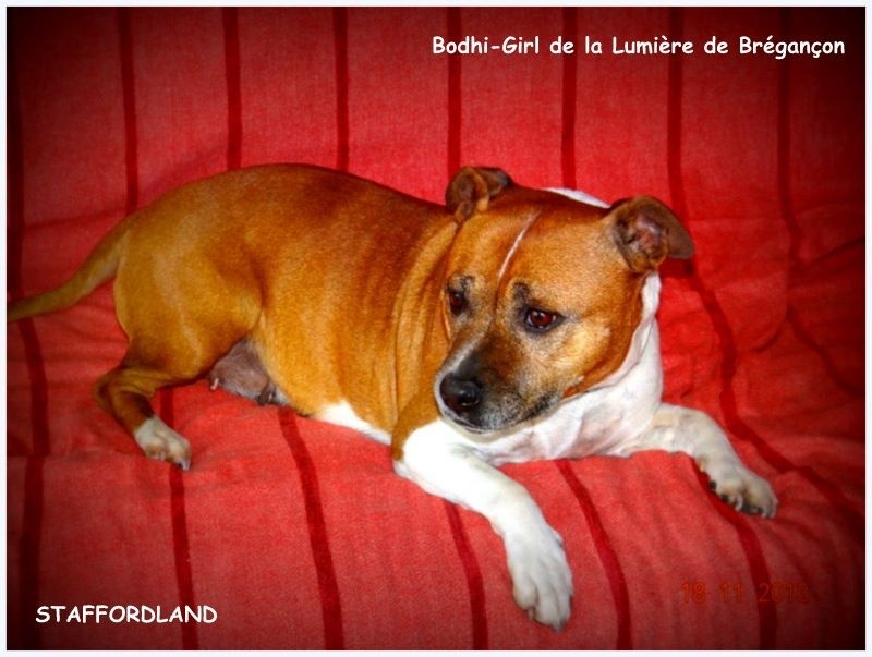 Bodhi-girl de la Lumière de Bregançon