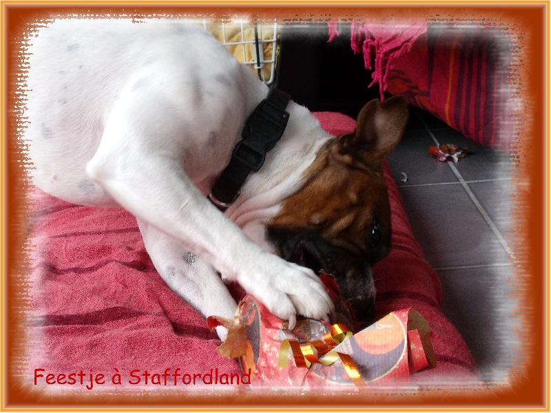 Feestje of Skystaff Starbuck