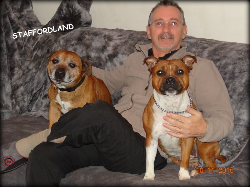 Staffordland Luna