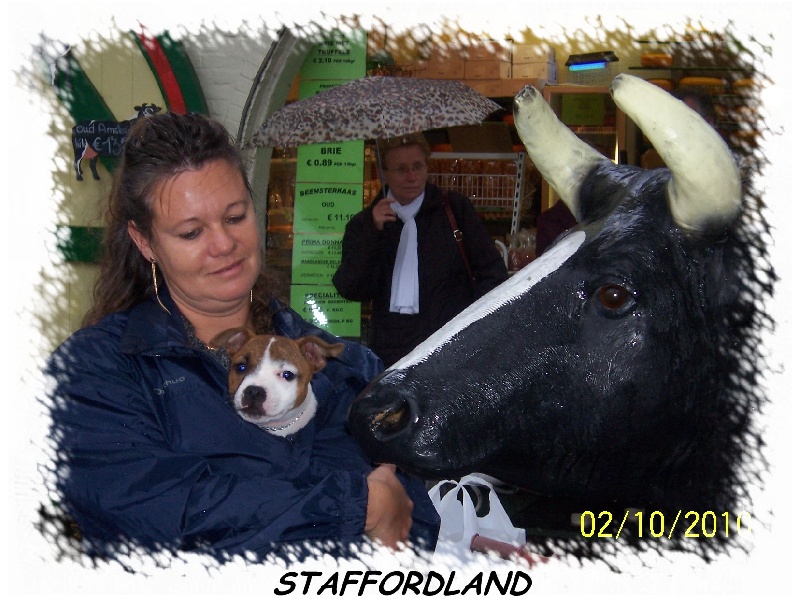 Feestje of Skystaff Starbuck