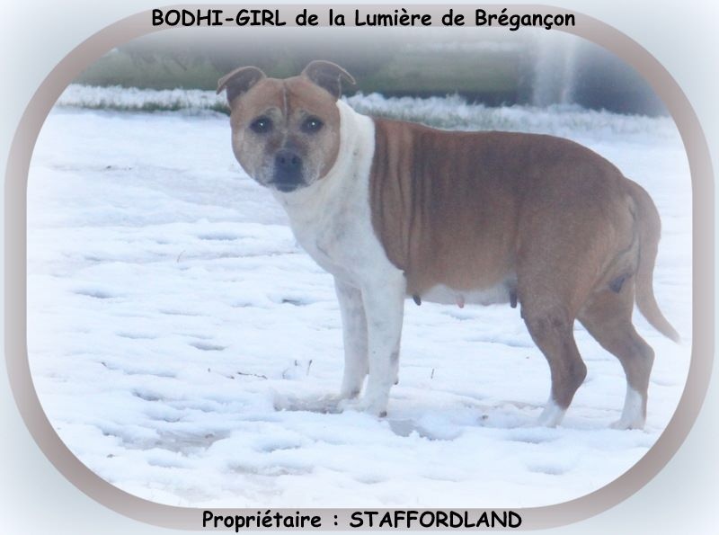 Bodhi-girl de la Lumière de Bregançon
