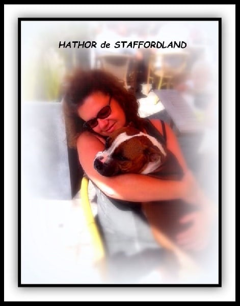 Staffordland Hathor