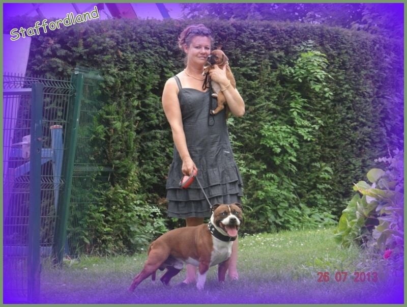 Staffordland Docteur jones