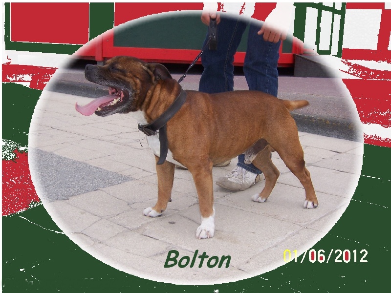 Publication : Staffordland Auteur : Marie Queignec de Staffordland