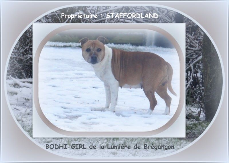 Bodhi-girl de la Lumière de Bregançon